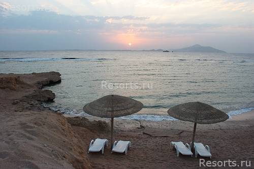 Sea Life Resort 33